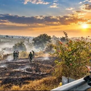 Pastikan Api Padam, Dandim 0402/OKI-OI Tinjau Langsung Sejumlah Lokasi Karhutla
